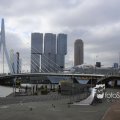 IMG_1349772