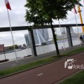 IMG_1349780