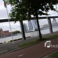 IMG_1349784