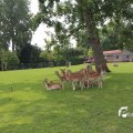 IMG_1352882