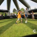 IMG_1352941