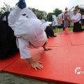 IMG_1352976