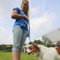 IMG_1353033