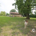 IMG_1353100