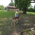 IMG_1353102