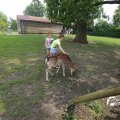IMG_1353104