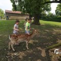 IMG_1353107