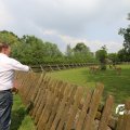IMG_1353109