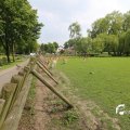 IMG_1353117