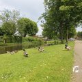 IMG_1353121