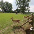 IMG_1353125