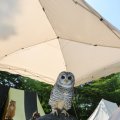 IMG_1352062