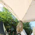 IMG_1352063