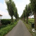 IMG_1353130
