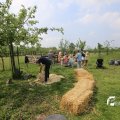 IMG_1353148
