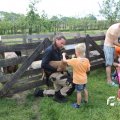 IMG_1353149