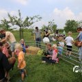 IMG_1353153