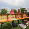 IMG_1353156