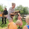 IMG_1353166