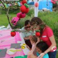 IMG_1353173