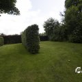 IMG_1361546