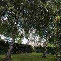 IMG_1361554