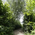 IMG_1361558