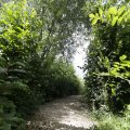 IMG_1361559