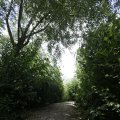 IMG_1361560