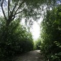 IMG_1361561
