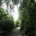 IMG_1361562