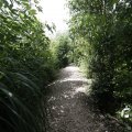 IMG_1361563