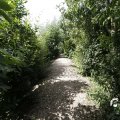 IMG_1361564