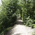 IMG_1361566