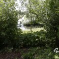IMG_1361567
