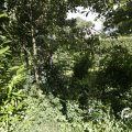 IMG_1361568