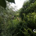 IMG_1361571