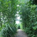 IMG_1361573