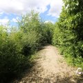 IMG_1361575
