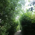 IMG_1361576