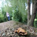 IMG_1361579