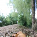 IMG_1361581