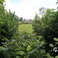 IMG_1361583