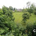 IMG_1361584
