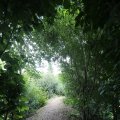 IMG_1361586