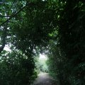 IMG_1361587
