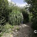 IMG_1361589