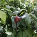 IMG_1361618