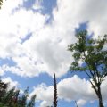 IMG_1361622
