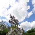IMG_1361623
